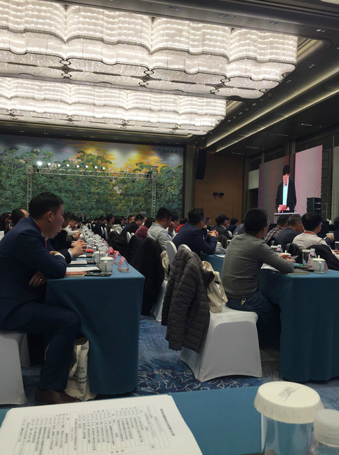 第四届全国建筑装饰行业科技创新大会暨大国装饰70年辉煌成就展