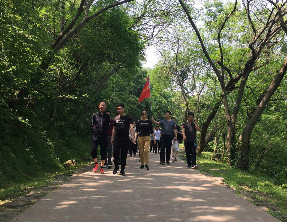 春风又绿风华无限，绿色环保快乐出行